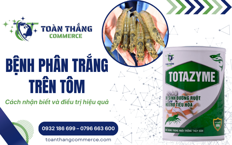 Bệnh phân trắng trên tôm - Nguyên nhân, dấu hiệu và cách trị hiệu quả