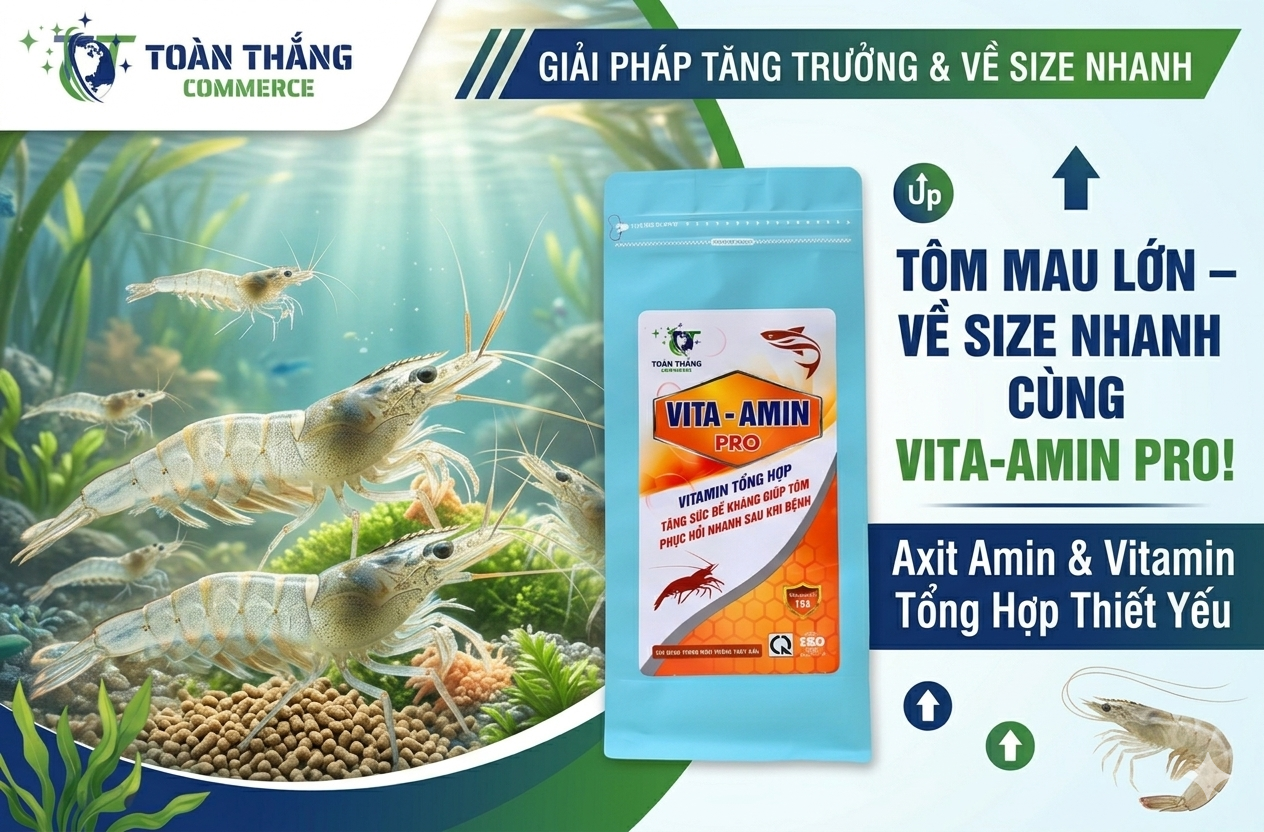 Thuốc Giúp Tôm Mau Lớn: Giải Pháp Tăng Trưởng Đột Phá Và Bí Quyết Về Size Nhanh Cho Vụ Mùa Thắng Lợi