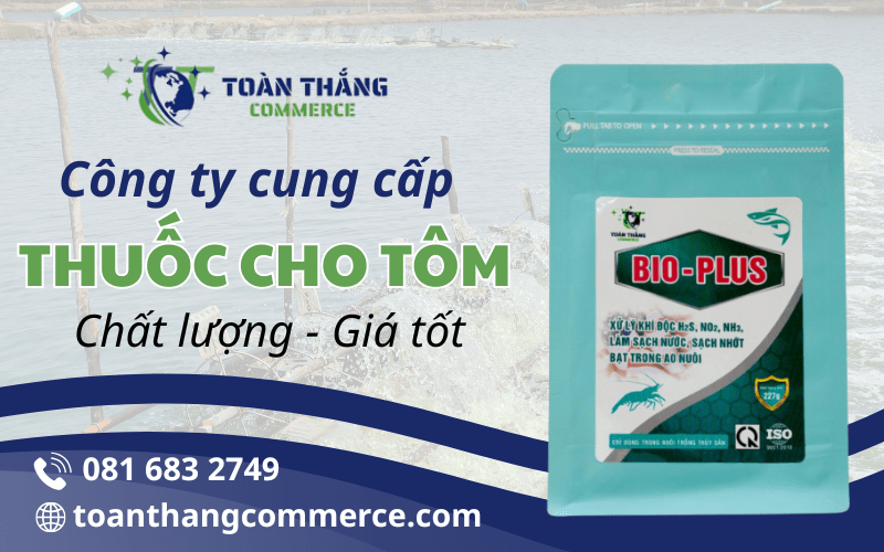 Toàn Thắng Commerce - Công ty cung cấp thuốc cho tôm uy tín, chất lượng