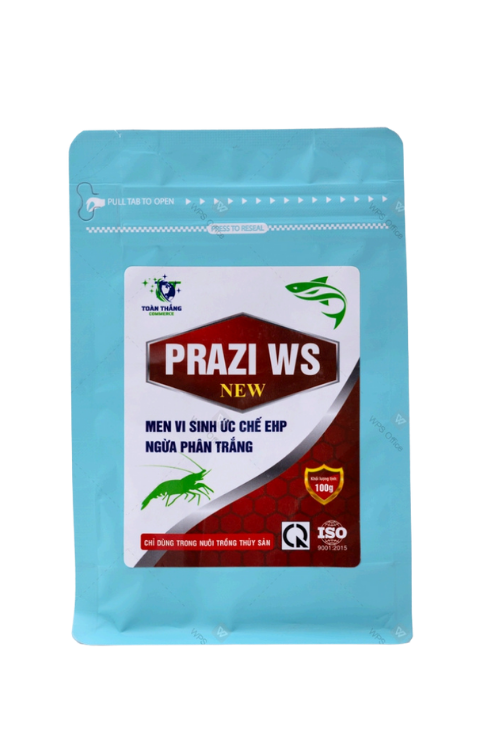 PRAZI WS NEW